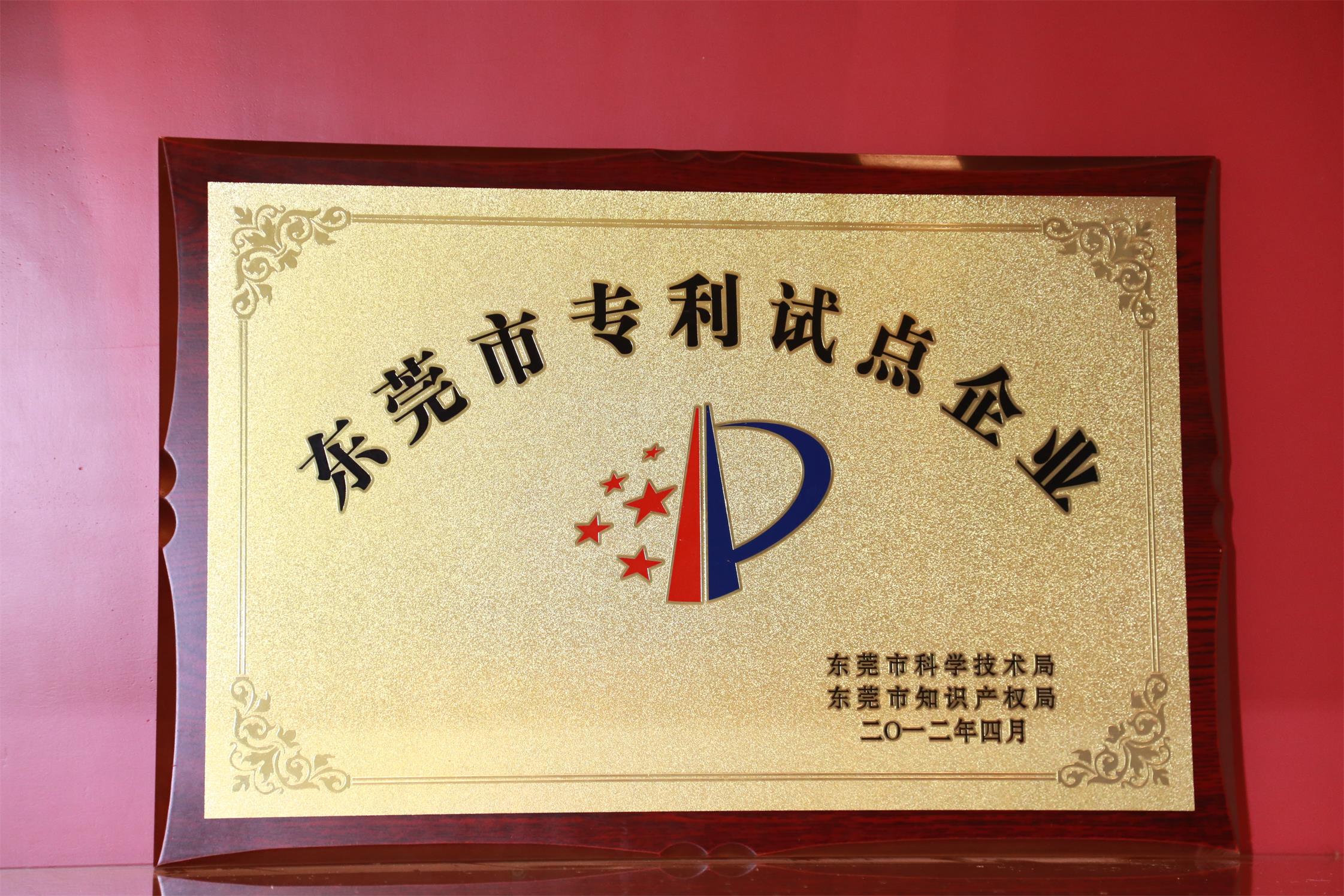 2012年 東莞市專利試點企業