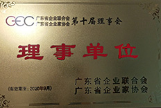 The 10th Governing Unit of Guangdong Province in 2016